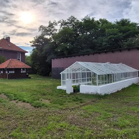 Private House With Sauna, Jacuzzi And Hawaiian Hothouse Villa