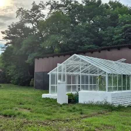 Private House With Sauna, Jacuzzi And Hawaiian Hothouse Villa *