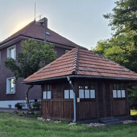 Private House With Sauna, Jacuzzi And Hawaiian Hothouse
