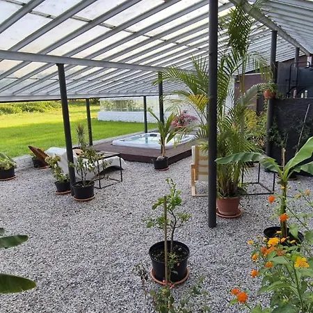 Private House With Sauna, Jacuzzi And Hawaiian Hothouse Villa Velvary