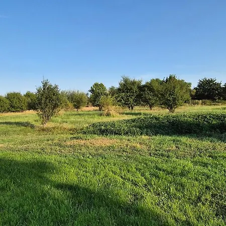 Private House With Sauna, Jacuzzi And Hawaiian Hothouse Villa Velvary