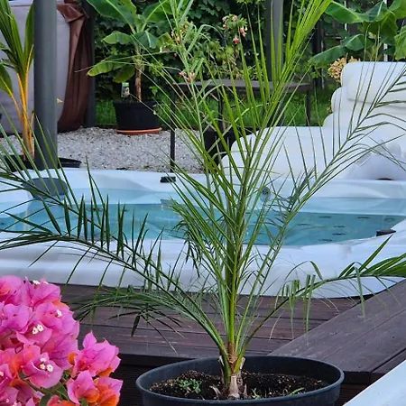 Private House With Sauna, Jacuzzi And Hawaiian Hothouse * Velvary