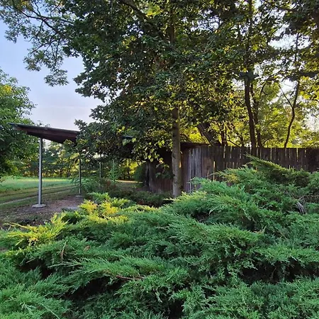 Private House With Sauna, Jacuzzi And Hawaiian Hothouse Velvary