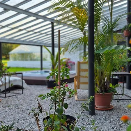 Private House With Sauna, Jacuzzi And Hawaiian Hothouse *