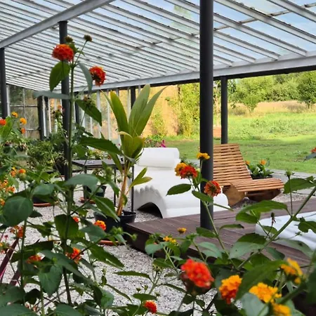 فيلة Private House With Sauna, Jacuzzi And Hawaiian Hothouse