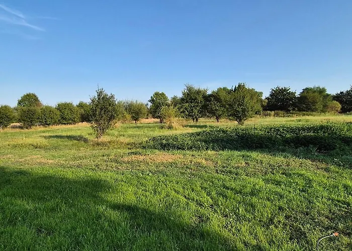 Private House With Sauna, Jacuzzi And Hawaiian Hothouse فيلة Velvary