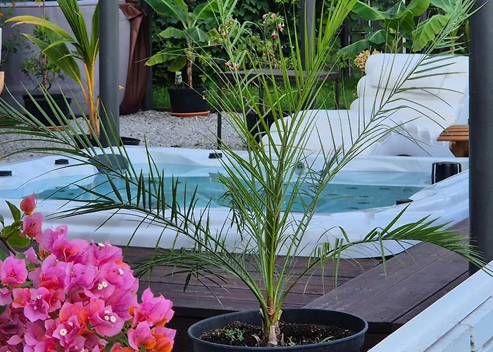 Private House With Sauna, Jacuzzi And Hawaiian Hothouse * Velvary